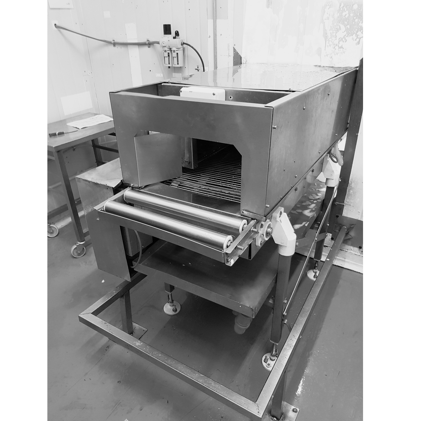 SANITIZADOR DE ALIMENTOS